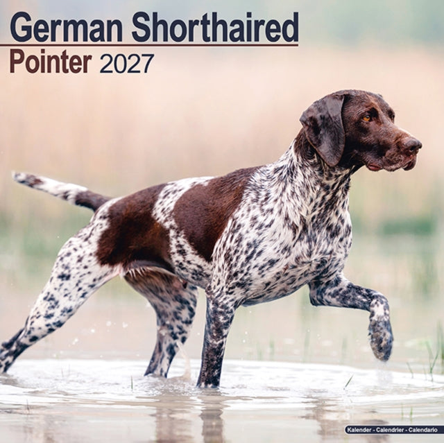 German Shorthair Pointer By Avonside Publishing