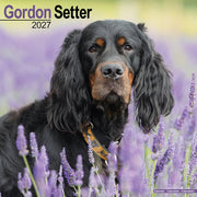 Gordon Setter By Avonside Publishing