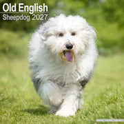 Old English Sheepdog By Avonside Publishing