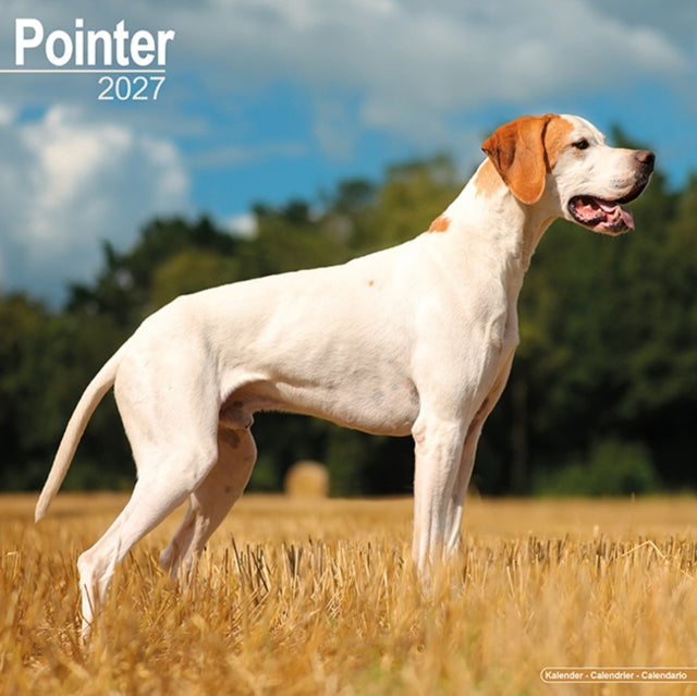 Pointer By Avonside Publishing
