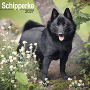 Schipperke By Avonside Publishing