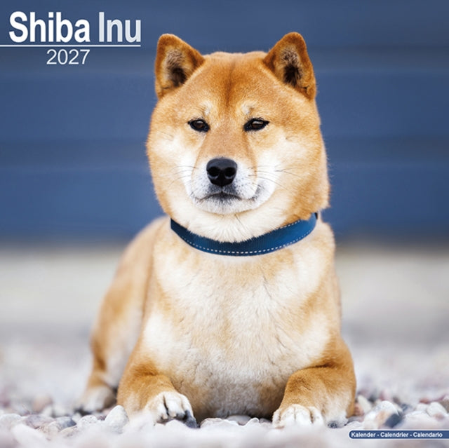 Shiba Inu By Avonside Publishing