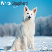 White Shepherd By Avonside Publishing