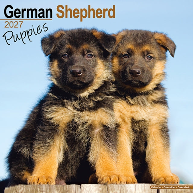 German Shepherd Puppies By Avonside Publishing