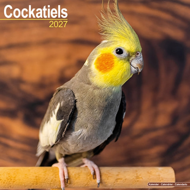 Cockatiels By Avonside Publishing