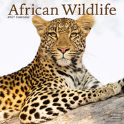 African Wildlife By Avonside Publishing