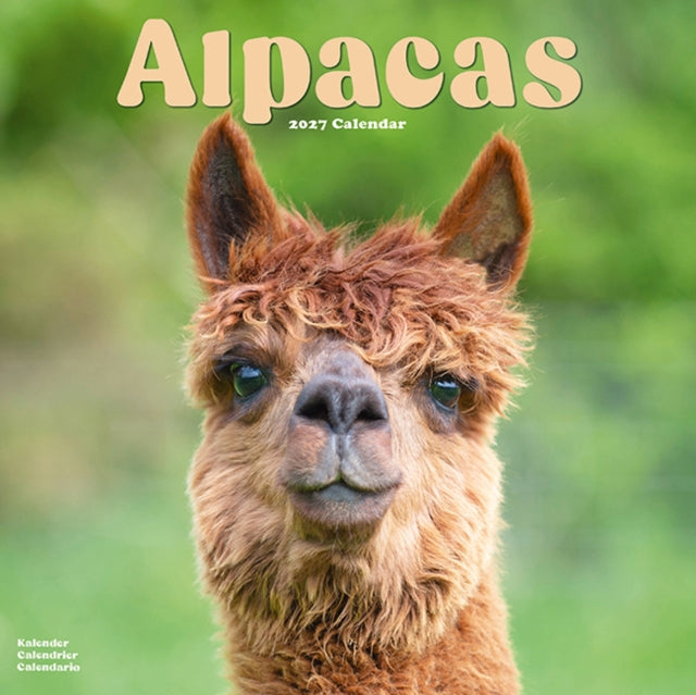 Alpacas By Avonside Publishing