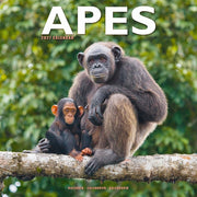 Apes By Avonside Publishing