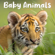 Baby Animals By Avonside Publishing