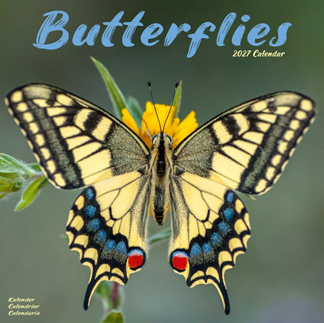Butterflies By Avonside Publishing