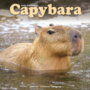 Capybara By Avonside Publishing