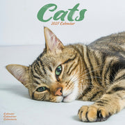 Cats By Avonside Publishing