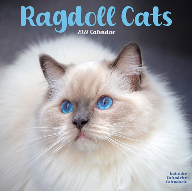 Cats Ragdoll By Avonside Publishing