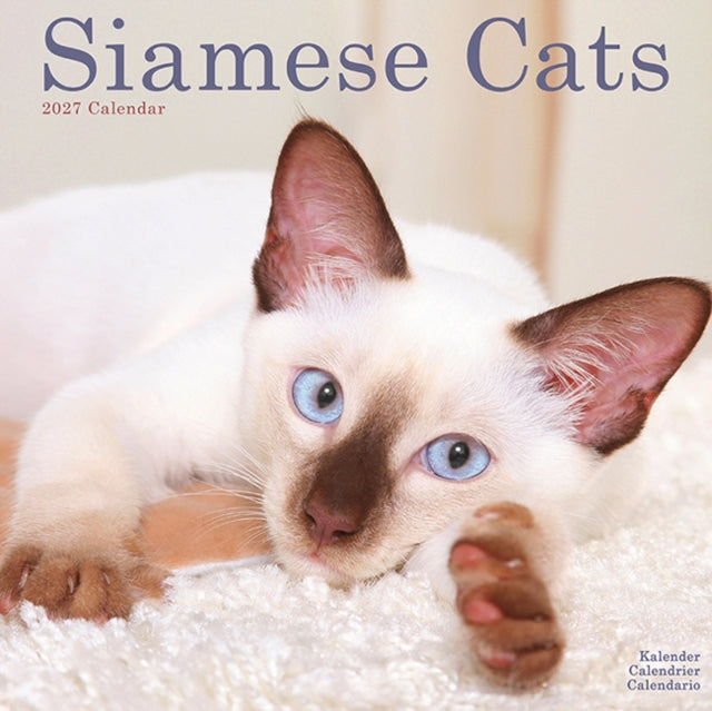 Cats Siamese By Avonside Publishing