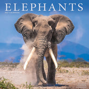 Elephants By Avonside Publishing