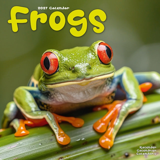 Frogs By Avonside Publishing