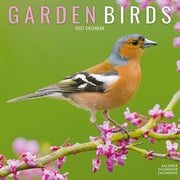 Garden Birds By Avonside Publishing
