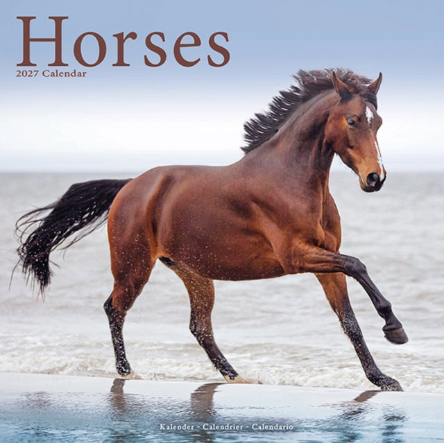 Horses By Avonside Publishing