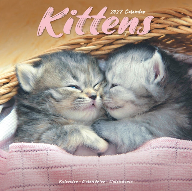 Kittens By Avonside Publishing