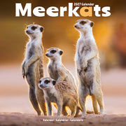 Meerkats By Avonside Publishing