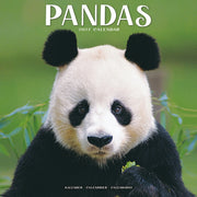 Pandas By Avonside Publishing