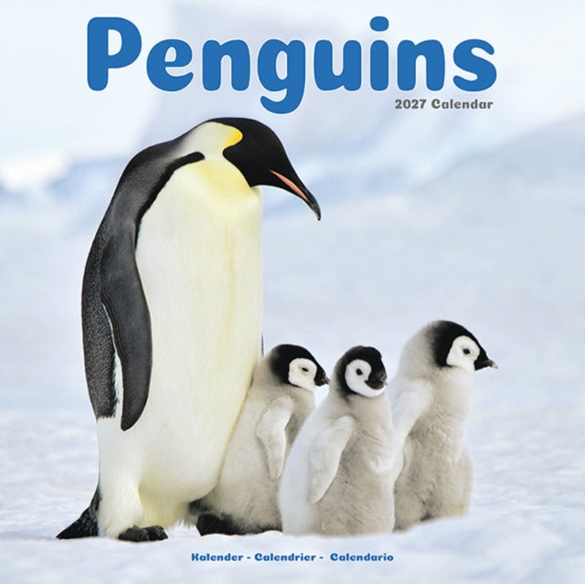 Penguins By Avonside Publishing