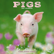 Pigs By Avonside Publishing