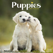 Puppies By Avonside Publishing