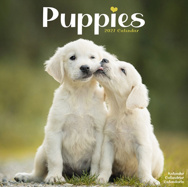 Puppies By Avonside Publishing