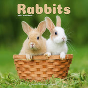 Rabbits By Avonside Publishing