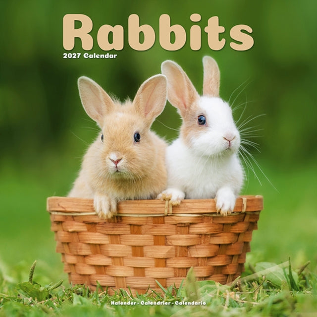 Rabbits By Avonside Publishing