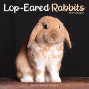 Rabbits Lop Eared By Avonside Publishing