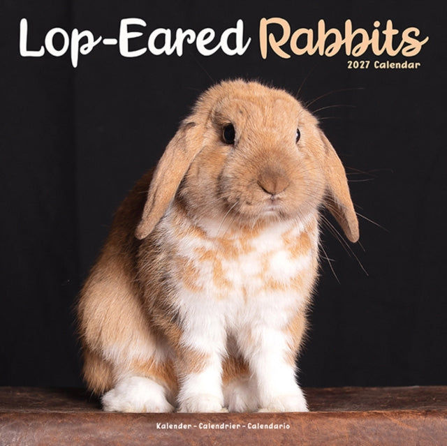 Rabbits Lop Eared By Avonside Publishing