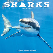 Sharks By Avonside Publishing