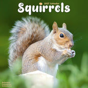 Squirrels By Avonside Publishing