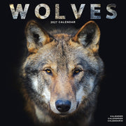Wolves By Avonside Publishing