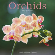 Orchids By Avonside Publishing