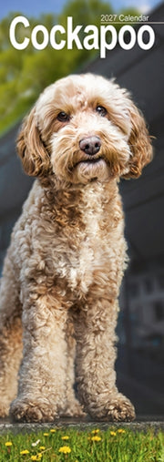 Cockapoo Slim By Avonside Publishing