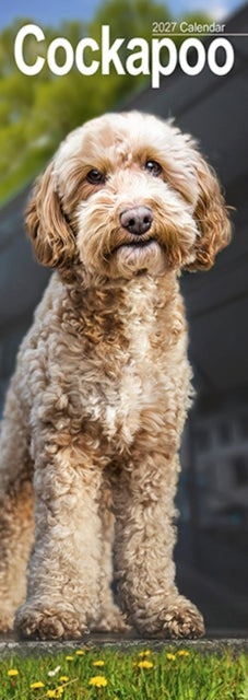 Cockapoo Slim By Avonside Publishing