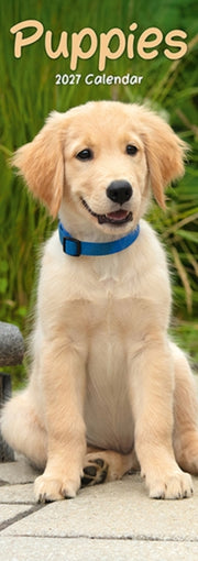 Puppies Slim By Avonside Publishing