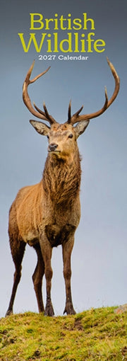 British Wildlife By Avonside Publishing