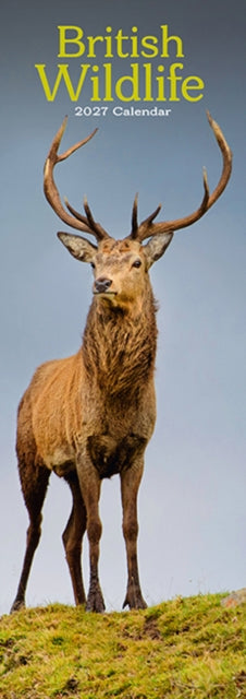 British Wildlife By Avonside Publishing
