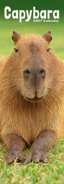 Capybara Slim By Avonside Publishing
