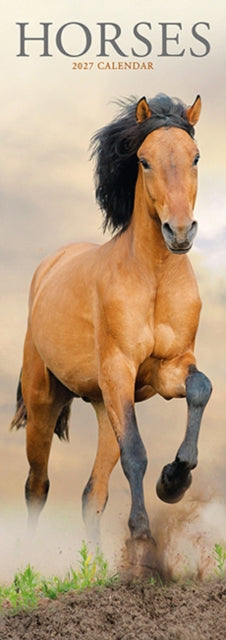 Horses Slim By Avonside Publishing