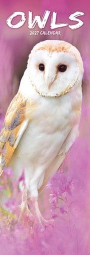 Owls Slim By Avonside Publishing