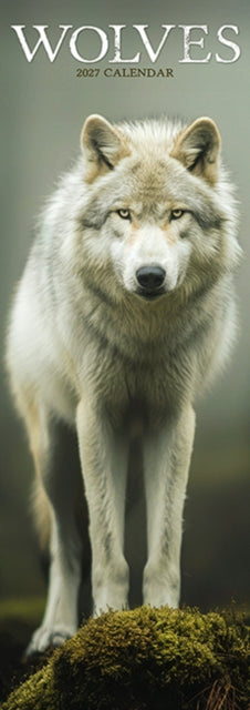 Wolves Slim By Avonside Publishing