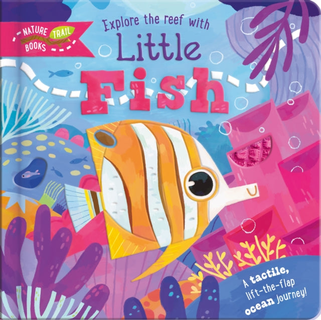 Explore The Reef With Little Fish