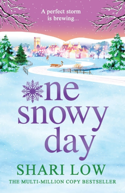 One Snowy Day By Low, Shari