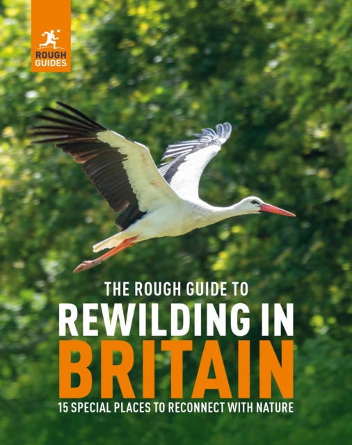 Rough Guide To Rewilding In Britain