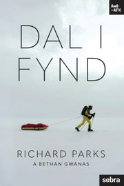 Stori Sydyn Dal I Fynd